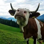 Bergbauernhof Rebernig Farm stay Lendorf