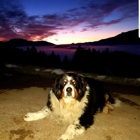 Bergbauernhof Rebernig Agroturismo