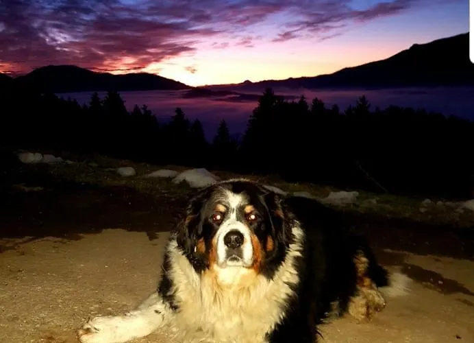 Bergbauernhof Rebernig Farmház